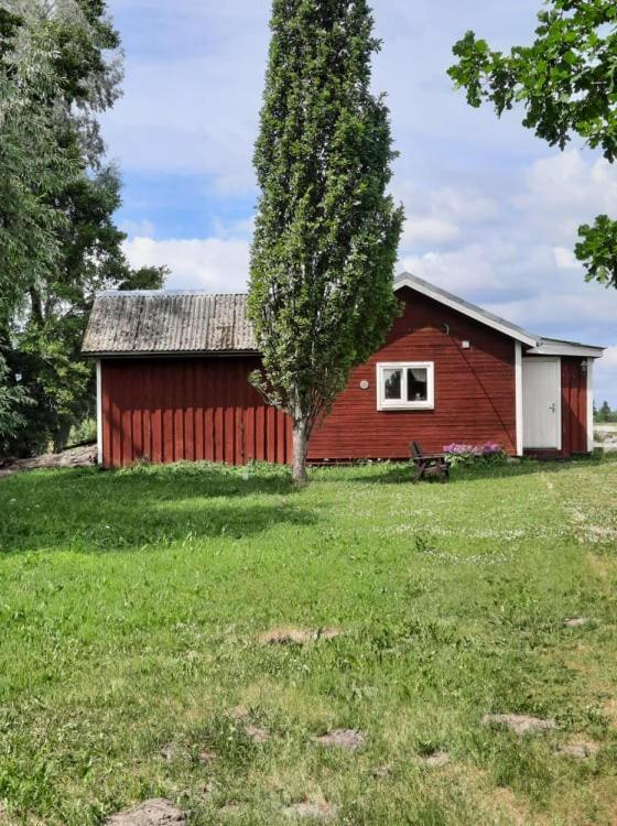 Sassi Talu Horsefarm Hotel Parnumaa Exterior foto